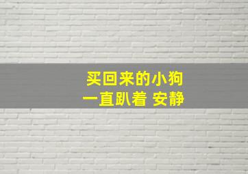 买回来的小狗一直趴着 安静